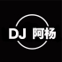 DJ阿杨-全粤语Electro音乐打造中文DJ第七季跳舞作品串烧